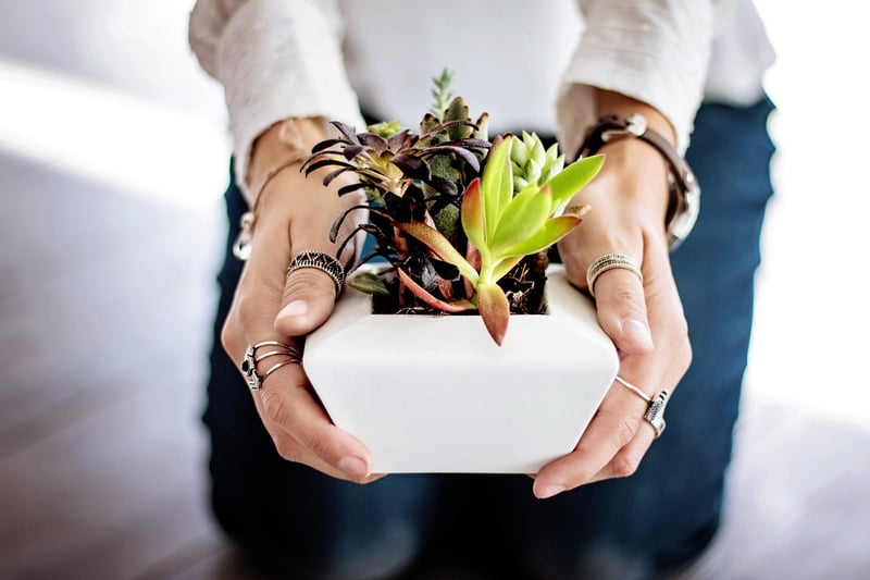 DIY Pots